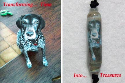 beaded-photo-pet